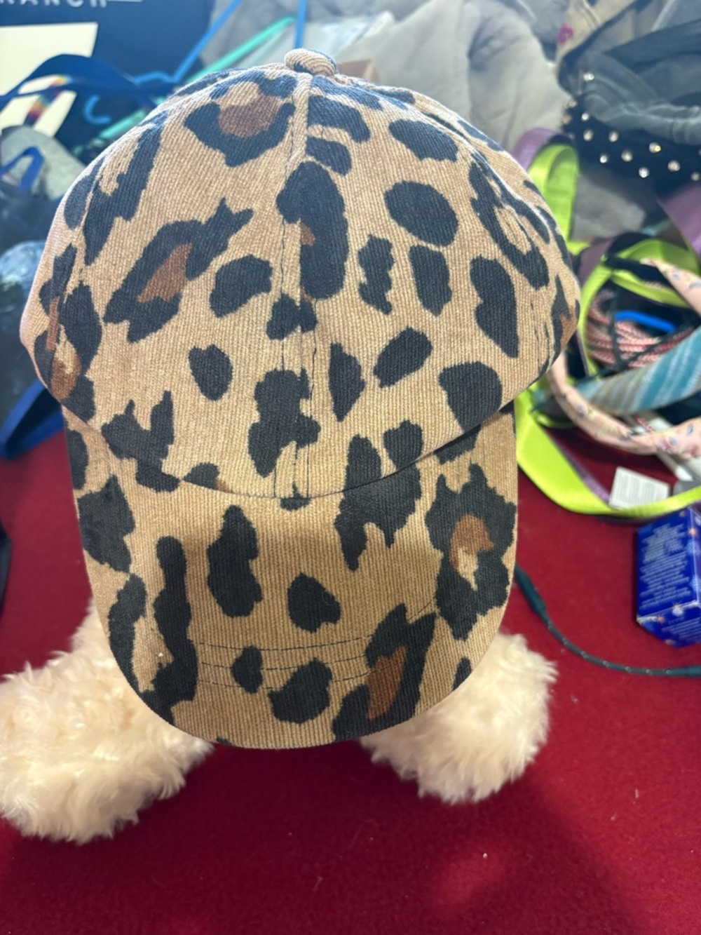 Maurices Leopard Print Baseball Cap in Brown and Black